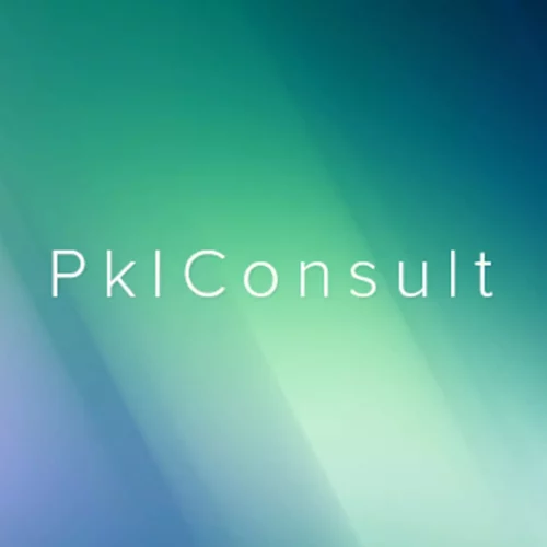 PKL Consult website